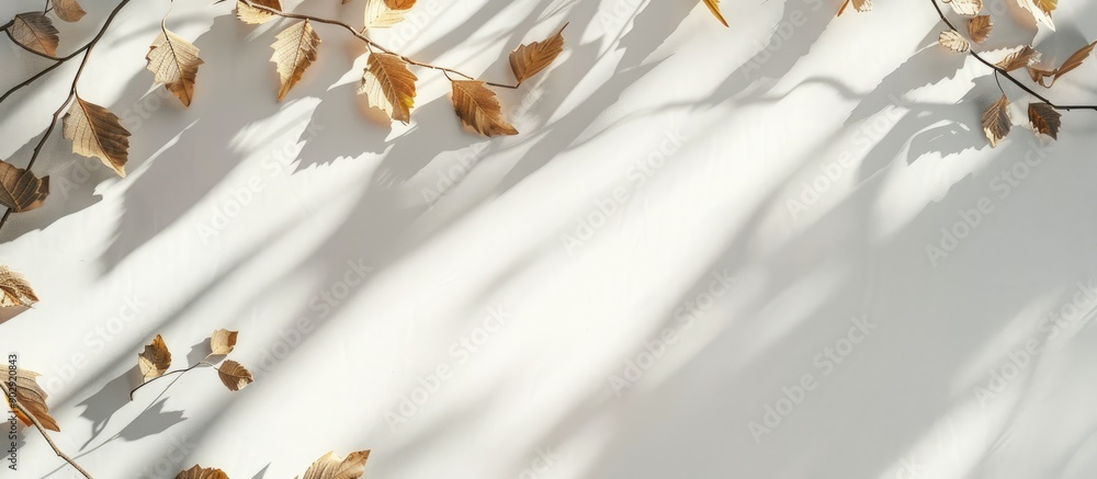 Poster Flat lay mockup featuring branches and leaves for a letter or wedding invitation capturing natural light and shadows creating a visually appealing copy space image