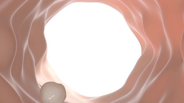 3D inside the large intestines colonoscopy intestinal villi medically accurate able to loop endless 4k