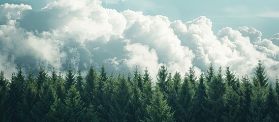 Forest depicted in the sky with fluffy clouds providing copy space image