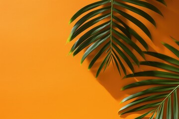 Tropical Palm Leaves on Orange Background