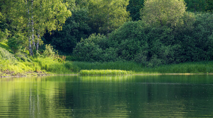 Vlasina Lake. Beautiful green water and forest by the lake. Beautiful semi-artificial lake in Southeast Serbia.
