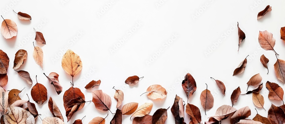 Aufkleber a frame composed of lovely fallen leaves set against a white backdrop creates a charming copy space 