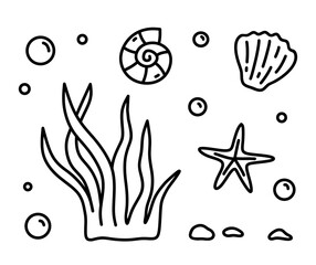 Seaweed and seashells isolated on a white background. Vector hand-drawn illustration in doodle style. Perfect for logo, various designs. Underwater world.