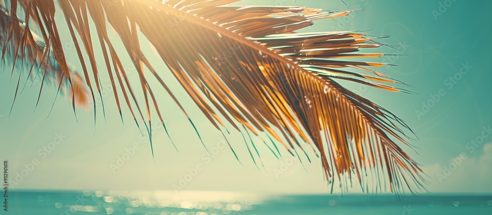 Aufkleber vintage filter adds a retro touch to an abstract background of a sunlit palm leaf on a tropical beac