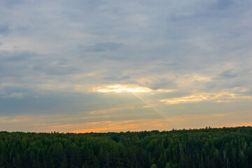 Fototapeta premium the sky from which a ray of light shines on the forest
