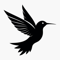 Silhouette Flying Hummingbird vector illustration with white background, Vector Birds Collection
