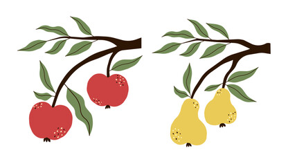 Branch with red apples and branch with yellow pears. Colorful vector illustration with ripe fruits and leaves on branches.