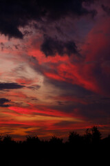 A beautiful sunset featuring numerous clouds beautifully spread across the sky