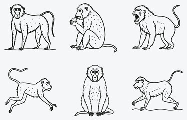 Elegant A-Baboon Line Art Vector High-Quality, Versatile Design