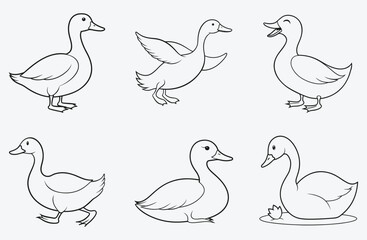 Ultimate Duck Line Art Collection