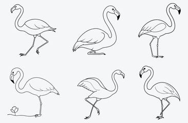 Elegant Flamingo Line Art Collection