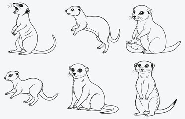 Obraz premium Ultimate Meerkat Vector Set Collection