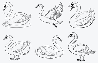 Elegant Swan Line Art Vector – Premium Quality Monochrome Design for Print and Digital Use