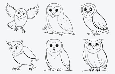 Elegant and Detailed Owl Line Art Vector