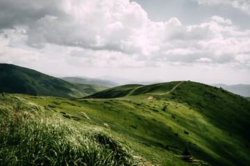 Scenic Landscape of the Ukrainian Carpathians with Rolling Green Hills