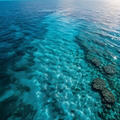 Obraz premium coral reef and blue sea