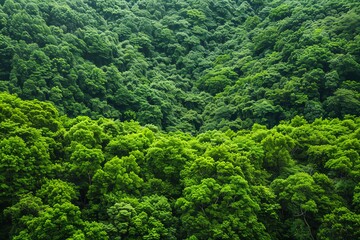 A lush forest canopy with diverse animal habitats, natural balance, ecosystem preservation