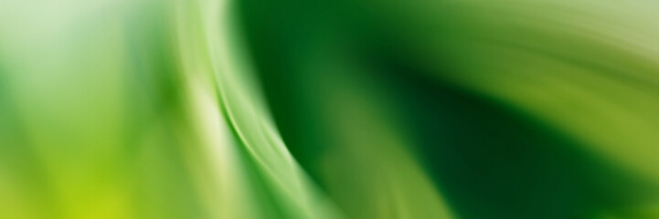 Blurred abstract gradient wave natural green, yellow background banner. Panoramic web header. Wide screen wallpaper.