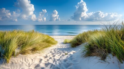 Picturesque Coastal Landscape with Dunes and Lush Beach Grass Under Bright Blue Sky