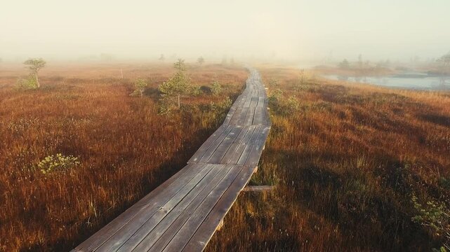 Miory District, Vitebsk Region, Belarus. The Yelnya Swamp. Upland And Transitional Bogs With Numerous Lakes. Elevated Aerial View Of Yelnya Nature Reserve Landscape. Famous Natural Landmark 4K.