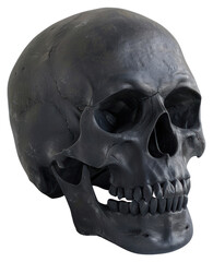 Obraz premium PNG A human skull black anthropology sculpture.