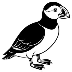 black and white bird, bird, illustration of a bird, illustration of an eagle, Black and White Illustration of a Majestic Eagle - Detailed Bird Artwork and Monochrome Design