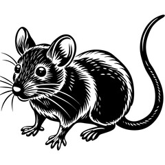 mouse with cheese, illustration of a mouse, illustration of a rat, mouse with cheese, mouse on a white background, mouse on a white, Illustrations of Mice, Rats, and Mice with Cheese on White Backgrou