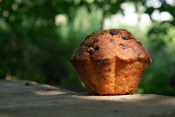 rich cupcake with chocolate chips...