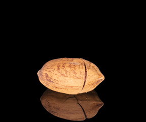One unpeeled pecan, macro, isolated on black background.
