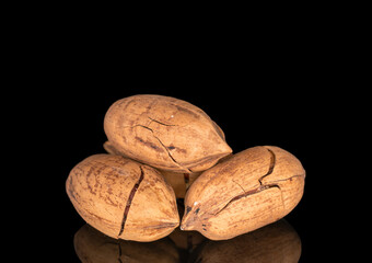 A few unshelled pecans, macro, isolated on a black background.