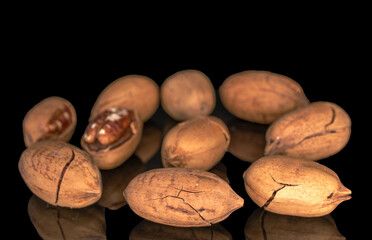 A few unshelled pecans, macro, isolated on a black background.