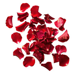 Beautiful Red Rose Petals Scattered on White Surface, Symbolizing Love and Passion