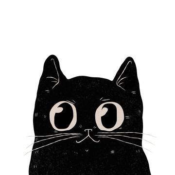 black cat