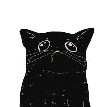 black cat with a tear