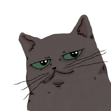 Grey cat with smile 