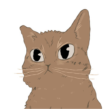 Cartoon cat