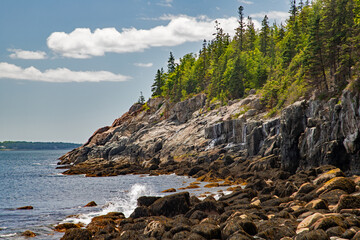 rocky cliffs on ocean shore with pine trees
