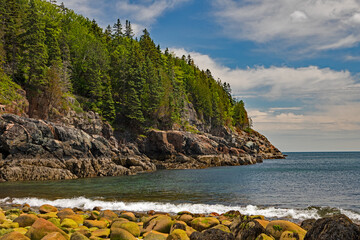 rock beach with trees on cliff