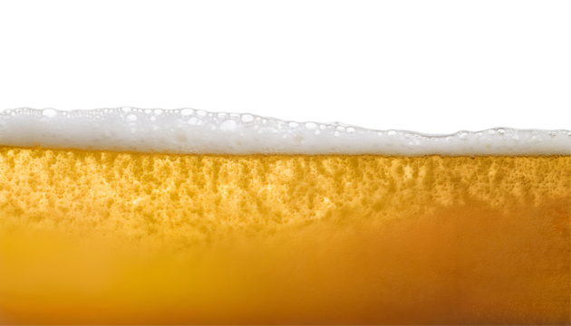 A close-up of a frothy beer top, showcasing its golden hue and refreshing bubbles. Perfect for beverage and party themes.