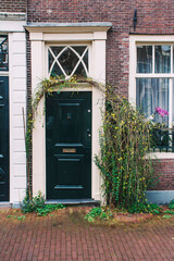 Naklejka premium Puerta antigua de una casa en Ámsterdam adornada con una enredadera