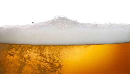 A close-up shot of a beer with a frothy head, capturing the golden hue and bubbles that create a refreshing appeal.