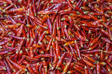 red dry chili pepper as food background