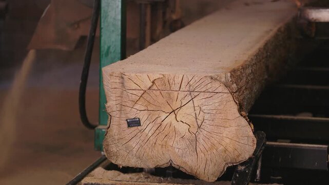 At the sawmill, a saw cuts brown wood. Tree bark and old rusty saw. Close-up. Work at the sawmill. Dust flies from wood and wood chips.