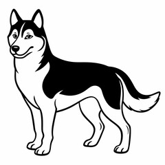 Siberian Husky dog vector illustration of a dog,animal,