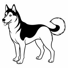 Siberian Husky dog vector illustration of a dog,animal,