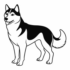 Siberian Husky dog vector illustration of a dog,animal,