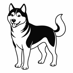 Siberian Husky dog vector illustration of a dog,animal,