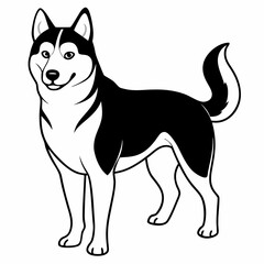 Siberian Husky dog vector illustration of a dog,animal,