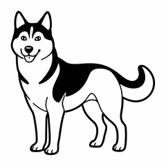 Siberian Husky dog vector illustration of a dog,animal,