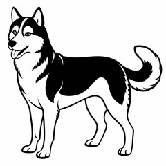 Siberian Husky dog vector illustration of a dog,animal,